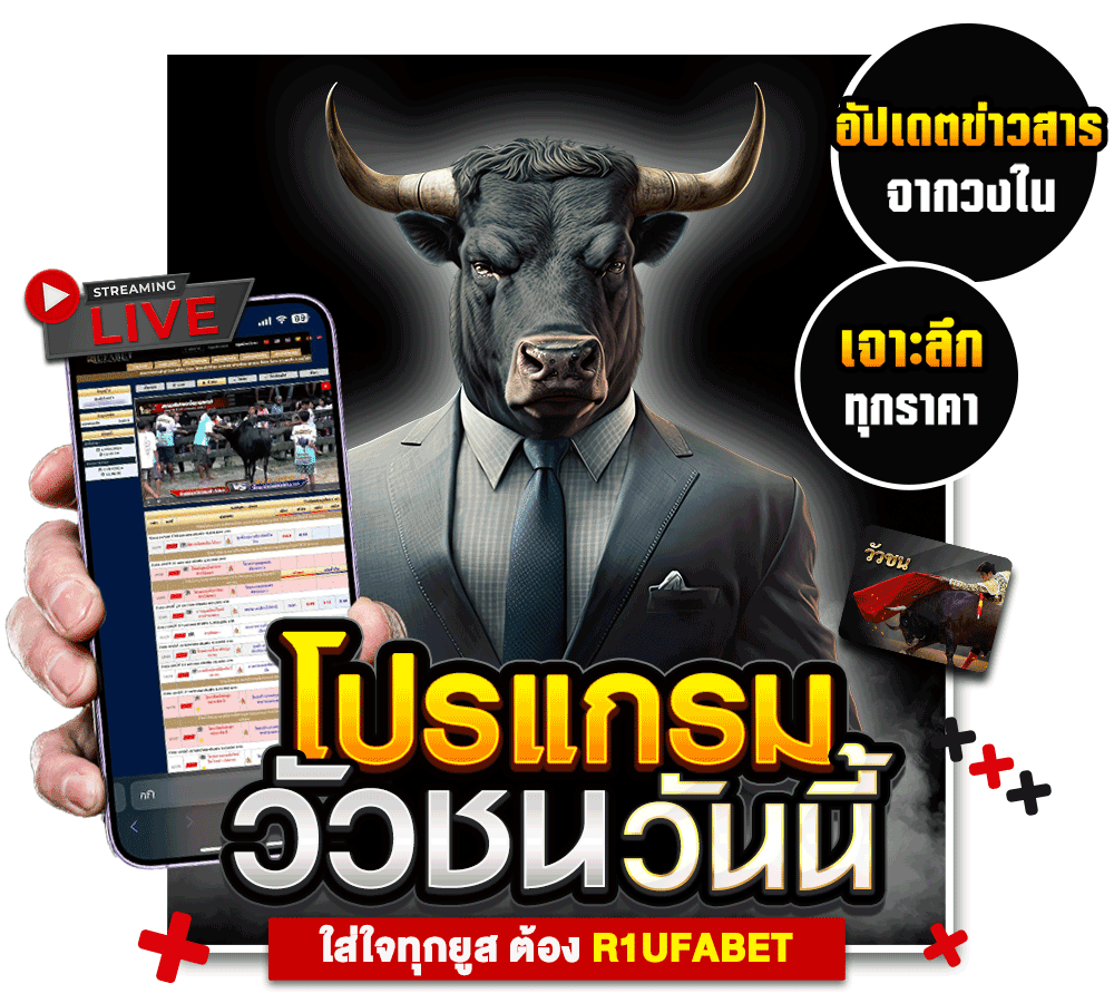 วัวชน