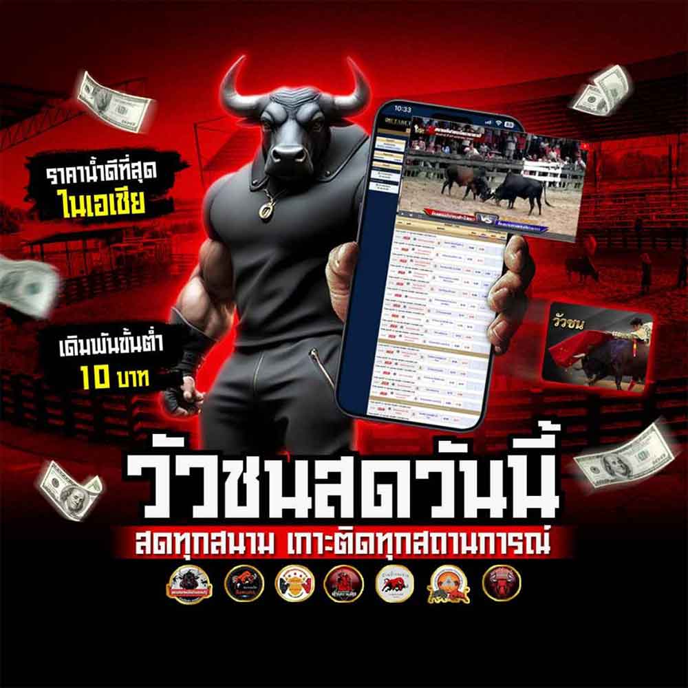 วัวชน